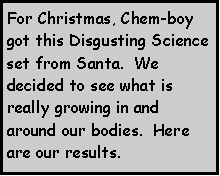 Text Box: For Christmas, Chem-boy got this Disgusting Science set from Santa.  We decided to see what is really growing in and around our bodies.  Here are our results.