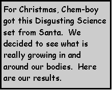 Text Box: For Christmas, Chem-boy got this Disgusting Science set from Santa.  We decided to see what is really growing in and around our bodies.  Here are our results.

