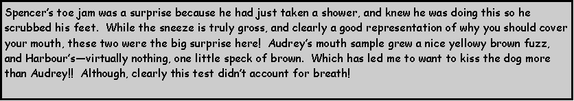 Text Box: Spencer’s toe jam was a surprise because he had just taken a shower, and knew he was doing this so he scrubbed his feet.  While the sneeze is truly gross, and clearly a good representation of why you should cover your mouth, these two were the big surprise here!  Audrey’s mouth sample grew a nice yellowy brown fuzz, and Harbour’s—virtually nothing, one little speck of brown.  Which has led me to want to kiss the dog more than Audrey!!  Although, clearly this test didn’t account for breath!
