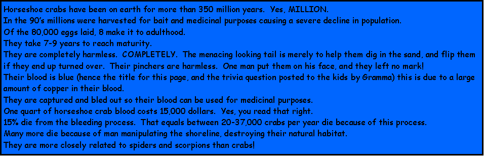 Text Box: Horseshoe crabs have been on earth for more than 350 million years.  Yes, MILLION.In the 90s millions were harvested for bait and medicinal purposes causing a severe decline in population.Of the 80,000 eggs laid, 8 make it to adulthood.They take 7-9 years to reach maturity.They are completely harmless.  COMPLETELY.  The menacing looking tail is merely to help them dig in the sand, and flip them if they end up turned over.  Their pinchers are harmless.  One man put them on his face, and they left no mark! Their blood is blue (hence the title for this page, and the trivia question posted to the kids by Gramma) this is due to a large amount of copper in their blood.  They are captured and bled out so their blood can be used for medicinal purposes.One quart of horseshoe crab blood costs 15,000 dollars.  Yes, you read that right.  15% die from the bleeding process.  That equals between 20-37,000 crabs per year die because of this process.  Many more die because of man manipulating the shoreline, destroying their natural habitat.  They are more closely related to spiders and scorpions than crabs!