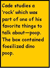 Text Box: Cade studies a ‘rock’ which was part of one of his favorite things to talk about—poop.  The box contained fossilized dino poop.  

