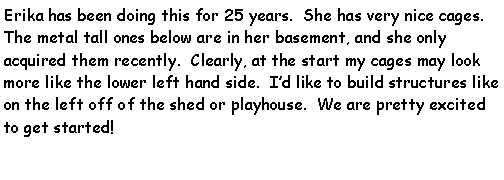 Text Box: Erika has been doing this for 25 years.  She has very nice cages.  The metal tall ones below are in her basement, and she only acquired them recently.  Clearly, at the start my cages may look more like the lower left hand side.  Id like to build structures like on the left off of the shed or playhouse.  We are pretty excited to get started!