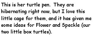 Text Box: This is her turtle pen.  They are hibernating right now, but I love this little cage for them, and it has given me some ideas for Flower and Speckle (our two little box turtles).  