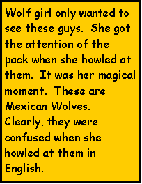 Text Box: Wolf girl only wanted to see these guys.  She got the attention of the pack when she howled at them.  It was her magical moment.  These are Mexican Wolves.  Clearly, they were confused when she howled at them in English.
