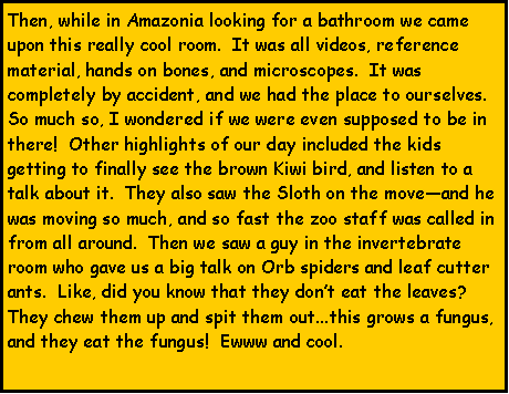 Text Box: Then, while in Amazonia looking for a bathroom we came upon this really cool room.  It was all videos, reference material, hands on bones, and microscopes.  It was completely by accident, and we had the place to ourselves.  So much so, I wondered if we were even supposed to be in there!  Other highlights of our day included the kids getting to finally see the brown Kiwi bird, and listen to a talk about it.  They also saw the Sloth on the moveand he was moving so much, and so fast the zoo staff was called in from all around.  Then we saw a guy in the invertebrate room who gave us a big talk on Orb spiders and leaf cutter ants.  Like, did you know that they dont eat the leaves?  They chew them up and spit them out...this grows a fungus, and they eat the fungus!  Ewww and cool. 