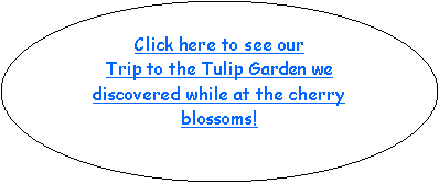 Oval: Click here to see our Trip to the Tulip Garden we discovered while at the cherry blossoms!