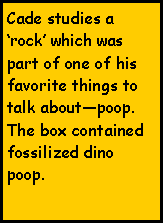 Text Box: Cade studies a rock which was part of one of his favorite things to talk aboutpoop.  The box contained fossilized dino poop.  