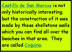Text Box: Castillo de San Marcos is not only historically interesting, but the construction of it was made by these shellstone walls  which you can find all over the beaches in that area.  They are called Coquina.
