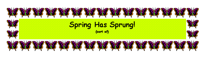 Text Box: Spring Has Sprung! (sort of)