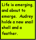 Text Box: Life is emerging, and about to emerge.  Audrey holds a new snail shell and a feather.  