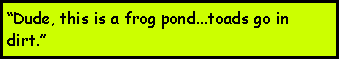 Text Box: Dude, this is a frog pond...toads go in dirt.