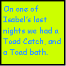 Text Box: On one of Isabels last nights we had a Toad Catch, and a Toad bath.
