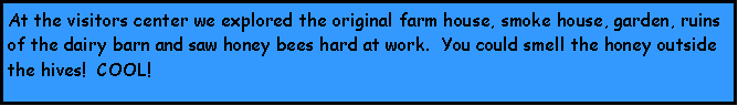 Text Box: At the visitors center we explored the original farm house, smoke house, garden, ruins of the dairy barn and saw honey bees hard at work.  You could smell the honey outside the hives!  COOL!