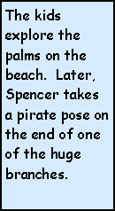 Text Box: The kids explore the palms on the beach.  Later, Spencer takes a pirate pose on the end of one of the huge branches.