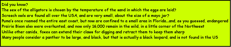 Text Box: Did you know?The sex of the alligators is chosen by the temperature of the sand in which the eggs are laid?Screech owls are found all over the USA, and are very small, about the size of a mayo jar?Pumas once roamed the entire east coast, but now are confined to a small area in Florida...and, as you guessed, endangeredPrairie Bison also were overhunted, and now only 16,000 remain in the wild, in a little corner of the NorthwestUnlike other canids, foxes can extend their claws for digging and retract them to keep them sharpMany people consider a panther to be large, and black, but that is actually a black leopard, and is not found in the US