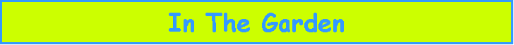 Text Box: In The Garden
