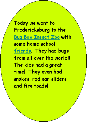 Oval: Today we went to Fredericksburg to the Bug Box Insect Zoo with some home school friends.  They had bugs from all over the world!!  The kids had a great time!  They even had snakes, red ear sliders and fire toads!  