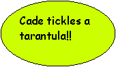 Oval: Cade tickles a tarantula!! 