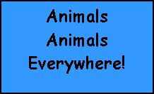 Text Box: AnimalsAnimalsEverywhere!