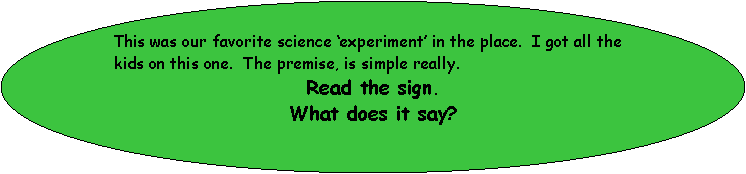 Oval: This was our favorite science experiment in the place.  I got all the kids on this one.  The premise, is simple really.  Read the sign.What does it say?