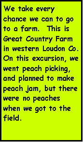 Text Box: We take every chance we can to go to a farm.  This is Great Country Farm in western Loudon Co.  On this excursion, we went peach picking, and planned to make peach jam, but there were no peaches when we got to the field. 