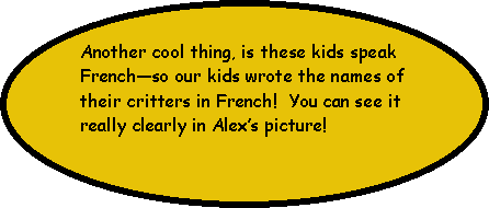 Oval: Another cool thing, is these kids speak French—so our kids wrote the names of their critters in French!  You can see it really clearly in Alex’s picture!  
