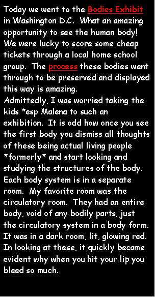 Text Box: Today we went to the Bodies Exhibit in Washington D.C.  What an amazing opportunity to see the human body!  We were lucky to score some cheap tickets through a local home school group.  The process these bodies went through to be preserved and displayed this way is amazing. Admittedly, I was worried taking the kids *esp Malena to such an exhibition.  It is odd how once you see the first body you dismiss all thoughts of these being actual living people *formerly* and start looking and studying the structures of the body.  Each body system is in a separate room.  My favorite room was the circulatory room.  They had an entire body, void of any bodily parts, just the circulatory system in a body form.  It was in a dark room, lit, glowing red.In looking at these, it quickly became evident why when you hit your lip you bleed so much.