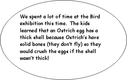 Oval: We spent a lot of time at the Bird exhibition this time.  The kids learned that an Ostrich egg has a thick shell because Ostrichs have solid bones (they dont fly) so they would crush the eggs if the shell wasnt thick!