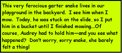 Text Box: This very ferocious garter snake lives in our playground in the backyard.  I see him when I mow.  Today, he was stuck on the slide, so I put him in a bucket until I finished mowing...Of course, Audrey had to hold himand you see what happened?  Dont worry, sorry snake, she barely felt a thing!  