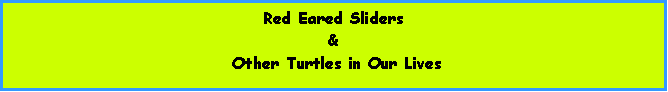 Text Box: Red Eared Sliders & Other Turtles in Our Lives