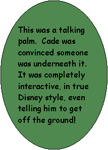 Oval: This was a talking palm.  Cade was convinced someone was underneath it.  It was completely interactive, in true Disney style, even telling him to get off the ground!
