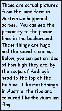 Text Box: These are actual pictures from the wind farm in Austria we happened across.  You can see the proximity to the power lines in the background.  These things are huge, and the sound stunning.  Below, you can get an idea of how high they are, by the scope of Audreys head to the top of the turbine.  Like most things in Austria, the tips are coloured like the Austrian flag. 