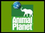 Animal Planet