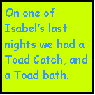 Text Box: On one of Isabel’s last nights we had a Toad Catch, and a Toad bath.
