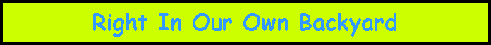 Text Box: Right In Our Own Backyard
