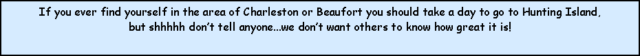 Text Box: If you ever find yourself in the area of Charleston or Beaufort you should take a day to go to Hunting Island, but shhhhh dont tell anyone...we dont want others to know how great it is!