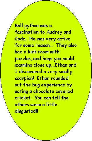Oval: Ball python was a fascination to Audrey and Cade.  He was very active for some reason  They also had a kids room with puzzles, and bugs you could examine close up...Ethan and I discovered a very smelly scorpion!  Ethan rounded out the bug experience by eating a chocolate covered cricket.  You can tell the others were a little disgusted!! 