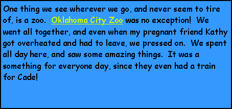 Text Box: One thing we see wherever we go, and never seem to tire of, is a zoo.  Oklahoma City Zoo was no exception!  We went all together, and even when my pregnant friend Kathy got overheated and had to leave, we pressed on.  We spent all day here, and saw some amazing things.  It was a something for everyone day, since they even had a train for Cade!  