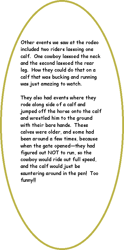 Oval: Other events we saw at the rodeo included two riders lassoing one calf.  One cowboy lassoed the neck and the second lassoed the rear leg.  How they could do that on a calf that was bucking and running was just amazing to watch.They also had events where they rode along side of a calf and jumped off the horse onto the calf and wrestled him to the ground with their bare hands.  These calves were older, and some had been around a few times, because when the gate openedthey had figured out NOT to run, so the cowboy would ride out full speed, and the calf would just be sauntering around in the pen!  Too funny!!  