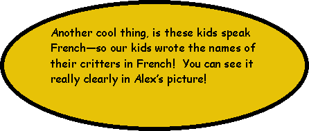 Oval: Another cool thing, is these kids speak Frenchso our kids wrote the names of their critters in French!  You can see it really clearly in Alexs picture!  