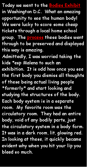 Text Box: Today we went to the Bodies Exhibit in Washington D.C.  What an amazing opportunity to see the human body!  We were lucky to score some cheap tickets through a local home school group.  The process these bodies went through to be preserved and displayed this way is amazing. 
Admittedly, I was worried taking the kids *esp Malena to such an exhibition.  It is odd how once you see the first body you dismiss all thoughts of these being actual living people *formerly* and start looking and studying the structures of the body.  Each body system is in a separate room.  My favorite room was the circulatory room.  They had an entire body, void of any bodily parts, just the circulatory system in a body form.  It was in a dark room, lit, glowing red.
In looking at these, it quickly became evident why when you hit your lip you bleed so much.
