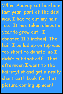 Text Box: When Audrey cut her hair last year, part of the deal was, I had to cut my hair too.  It has taken almost a year to grow out.  I donated 11.5 inches!  The hair I pulled up on top was too short to donate, so I didnt cut that off.  That afternoon I went to the hairstylist and got a really short cut!  Look for that picture coming up soon!  